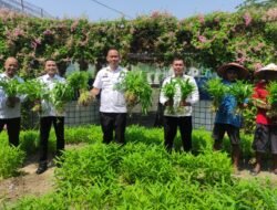 Panen Kangkung Berkala di Rutan Kelas I Bandar Lampung: Wujud Nyata Pembinaan dan Kemandirian Ketahanan Pangan