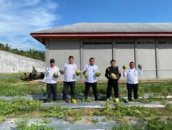 Kalapas Dharmasraya Bersama Pejabat Struktural Panen Semangka, Wujudkan Ketahanan Pangan WBP