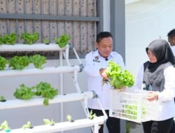 Lapas Narkotika Kelas IIA Bandar Lampung Dukung Program Ketahanan Pangan Melalui Pertanian Hidroponik