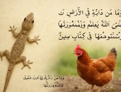 Dari Cicak hingga Ayam: Tanda-Tanda Keyakinan kepada Allah dalam Kehidupan Sehari-hari