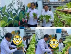 Panen Pakcoy Hidroponik, Lapas Kelas IIA Kalianda Buktikan Pembinaan Berbasis Keterampilan Berjalan Sukses