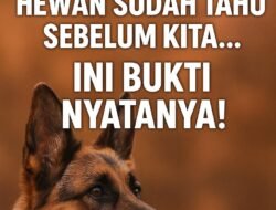 Mengapa Hewan Lebih Peka Menjelang Bencana, Berikut Penjelasannya