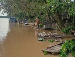 Warga Kecamatan MSU di Pinggiran Sungai Batang Hari Perlu Waspada Air Sungai Terus Naik