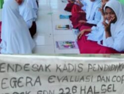 Siswa SDN 226 Halsel Terhambat Daftar SMP, Kepsek Bilang Belum Ada Uang Beli Blangko Ijazah dan Cetak
