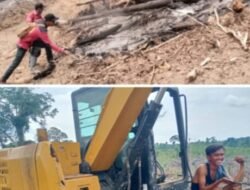 Oknum Perambah Kawasan Hutan Konservasi Penyangga TNBD di Wilayah Desa Peninjauan Tak Tersentuh Hukum