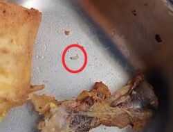 Dinkes dan Dispen Halsel Akan Terjunkan Tim Soal Ditemukan Ulat Dalam MBG Di MTS Babang