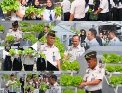 Panen Hidroponik di Lapas Narkotika Bandar Lampung, Wujud Nyata Pembinaan Kemandirian dan Ketahanan Pangan