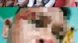 Diduga Ongky Nyong Dianiaya Berat 3 Saudara Kades, Meledaak! Pelaku Hadapi 43 Advokat Halsel