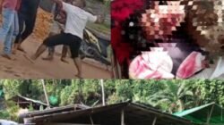 Kapolda Malut Diduga Ingin Nyawa Warga Berjatuhan Di PETI Halsel Korban Bertambah