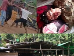 Kapolda Malut Diduga Ingin Nyawa Warga Berjatuhan Di PETI Halsel Korban Bertambah