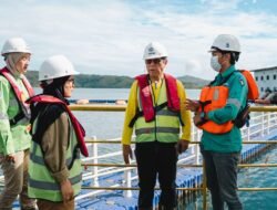 Dari Kajian UI, Ini Gambaran Penanganan Air Limpasan di Harita Nickel di Kawasi