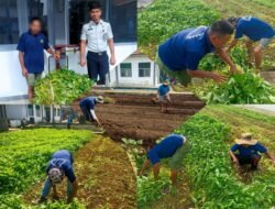 Panen Kangkung Berkelanjutan, Lapas Kotaagung Perkuat Kemandirian Warga Binaan dan Dukung Ketahanan Pangan