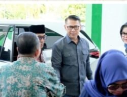 Waka 1 DPRD Kabupaten Batang Hari, El Firsta Sambut Kunjungan Anggota DPR RI