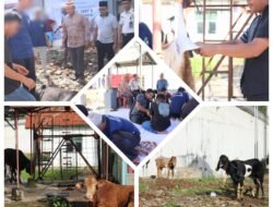 Lapas Kelas IIB Kotaagung Semarakkan Idul Adha 1447 H dengan Salat Eid dan Pemotongan Hewan Kurban Bersama Warga Binaan