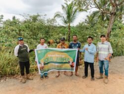 Harita Nickel Bagikan 46 Hewan Kurban di Maluku Utara, Warga Pulau Obi hingga Ternate Antusias Sambut Idul Adha 1447 H