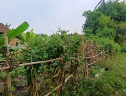 Laporan Polisi ke Polda Jatim Buka Borok Sengketa Tanah 359 M² di Desa Ngastemi Mojokerto