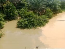 Diduga Buang Limbah ke Sungai Rengas, PT MSS Disorot Warga Batang Hari