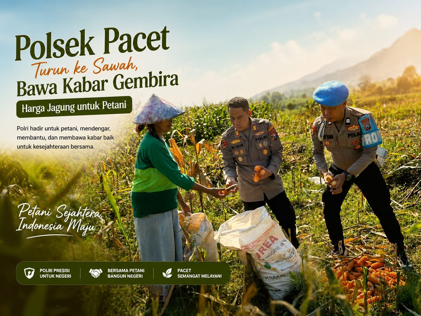 Polsek Pacet Turun ke Sawah, Bawa Kabar Gembira Harga Jagung untuk Petani