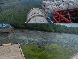 Pesisir Jikotamu sampai Jojame Diselimuti Air Hijau, Warga Khawatir Ekosistem Rusak