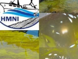 DPD HMNI Halsel Peringatkan Warga Obi: Jangan Dulu Makan Ikan, Laut Diduga Tercemar Limbah