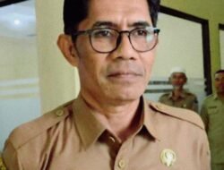 DLH Halsel Imbau Warga Obi Tahan Diri Konsumsi Ikan dan Hindari Laut Berwarna Hijau Pekat
