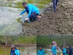 Air Laut Pulau Obi Hijau Pekat, DKP Malut Turunkan Tim Ambil Sampel ke Laboratorium