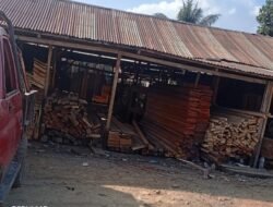 Diduga Tampung Kayu Hasil Pembalakan Liar di Obi, KPH Halsel Akan Cek Lokasi
