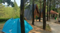 Belajar Beternak Sampai Nginep di Resort, Ini Daya Tarik Baru Wisata Bernah De Vallei