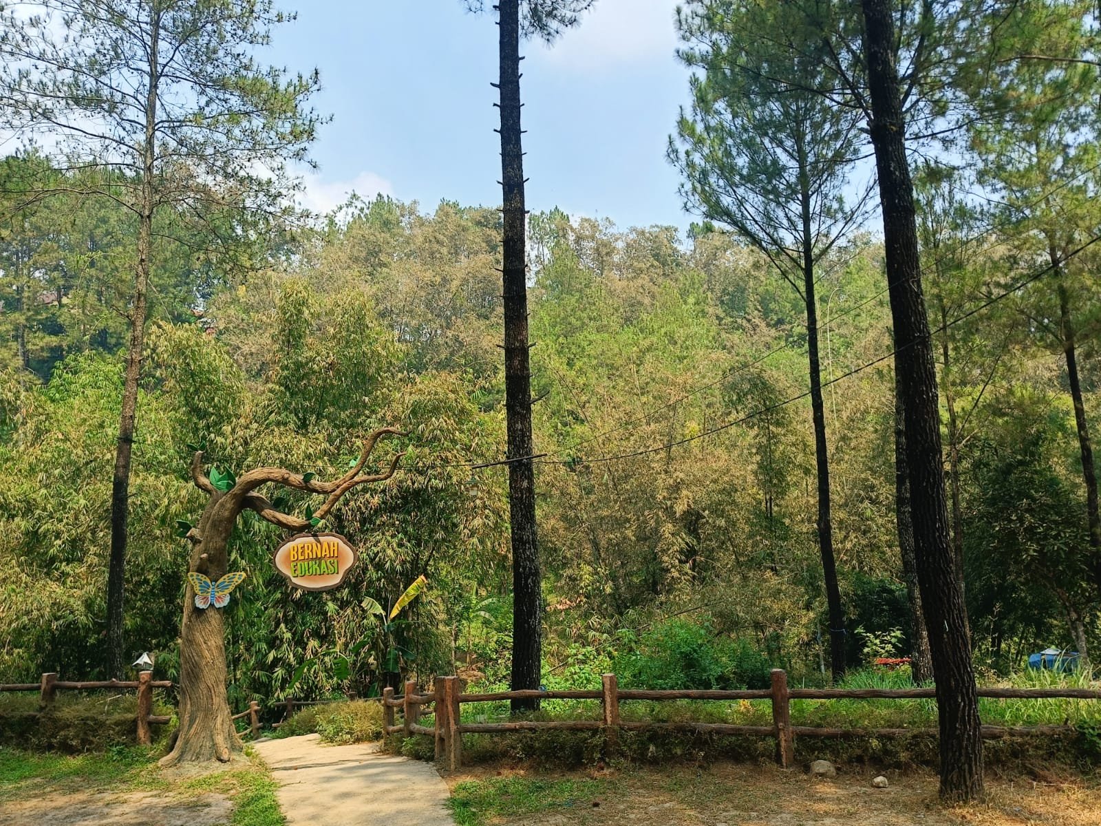 Belajar Beternak Sampai Nginep di Resort, Ini Daya Tarik Baru Wisata Bernah De Vallei