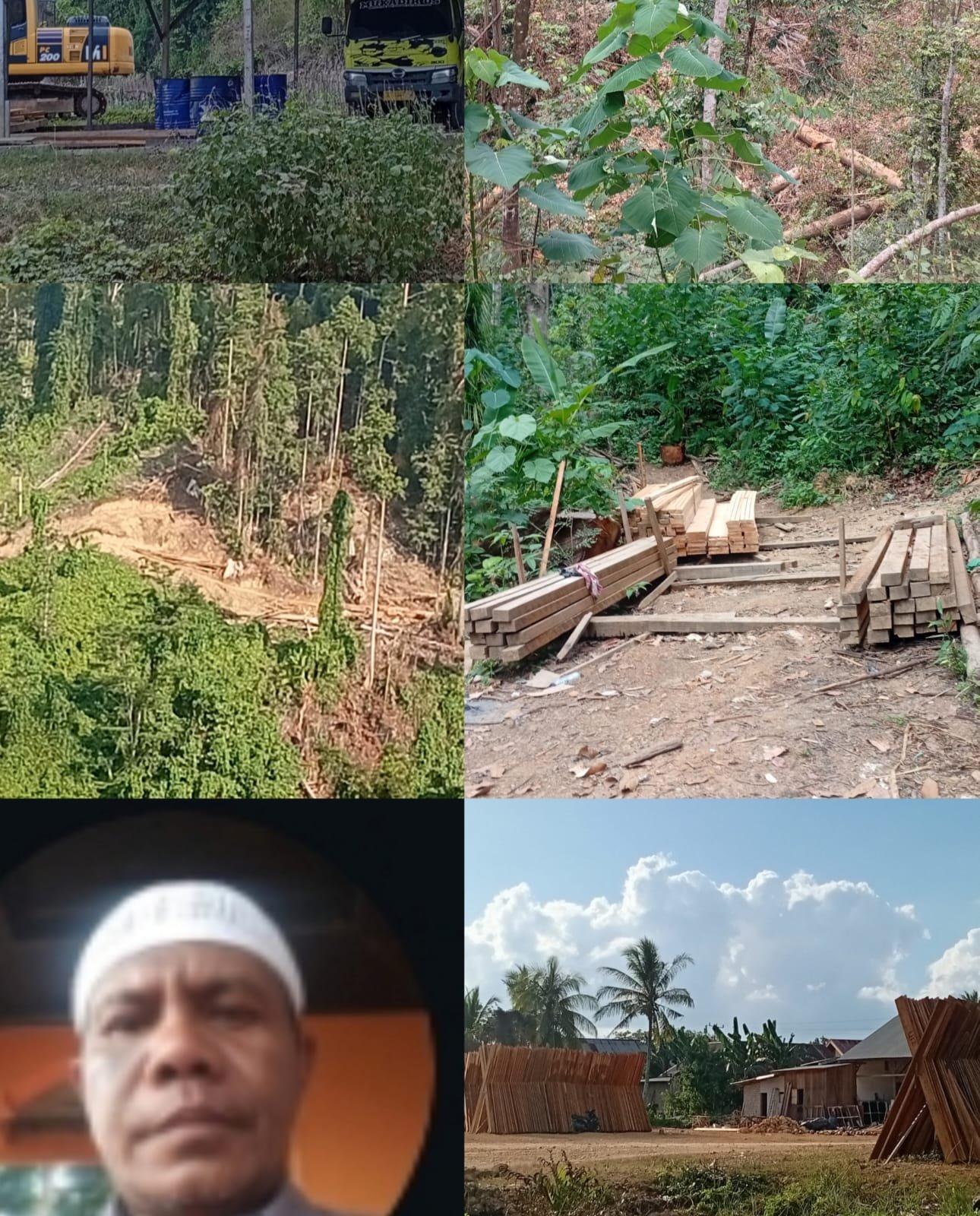 Ratusan Pohon Tumbang di Obi, Warga Halsel Tunggu Tindakan Polres Atas Laporan Illegal Logging