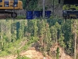 Didesak Sita Eskavator dan Dump Truck, Dugaan Illegal Logging di Desa Sambiki Obi Dilaporkan ke Polres Halsel