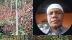 Dilapor ke SPKT, Dugaan Illegal Logging di Sambiki Jadi Ujian Komitmen Polres Halsel