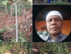 Dilapor ke SPKT, Dugaan Illegal Logging di Sambiki Jadi Ujian Komitmen Polres Halsel