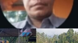 Ditegur Warga Tak Digubris, Dugaan Illegal Logging di Obi Akhirnya Dilaporkan ke Polisi