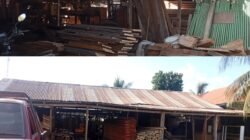 Pembalakan Diduga Ilegal di Obi Halmahera Selatan Masih Beroperasi. Warga Khawatir Banjir, APH Diminta Bertindak