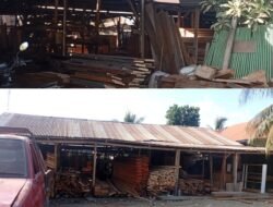 Pembalakan Diduga Ilegal di Obi Halmahera Selatan Masih Beroperasi. Warga Khawatir Banjir, APH Diminta Bertindak