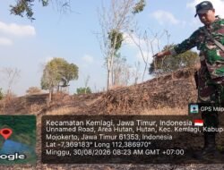 Musim Kemarau Rawan Karhutla, Babinsa Kemlagi Cek Langsung Titik Api di Lahan Jagung Mojorejo