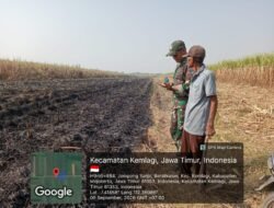 Cuaca Panas + Api Dadok = Bencana. Babinsa Mojokerto Imbau Petani Stop Bakar Lahan