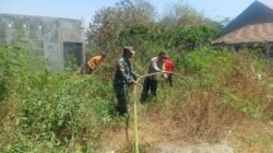 Angin Kencang Picu Kebakaran Lahan Tebu 1 Hektare di Puri, TNI-Polri dan Warga Berjibaku Padamkan Api