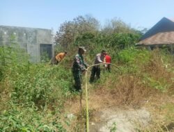 Angin Kencang Picu Kebakaran Lahan Tebu 1 Hektare di Puri, TNI-Polri dan Warga Berjibaku Padamkan Api