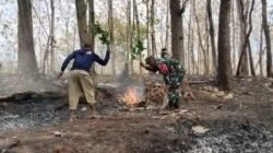 1 Hektare Lahan Perhutani Begaganlimo Terbakar, Babinsa dan Warga Bergerak Cepat Padamkan Api