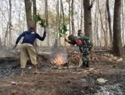 1 Hektare Lahan Perhutani Begaganlimo Terbakar, Babinsa dan Warga Bergerak Cepat Padamkan Api