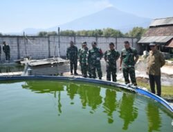 Gerak Cepat Dandim 0815 Mojokerto! Tinjau Kompi Produksi di Wonoploso, Pertanian, Ikan dan Bebek Dikelola Satu Kawasan