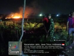 Detik-Detik 2 Hektare Lahan di Sidorejo Jetis Terbakar! Gara-Gara Bakar Daun Tebu, Angin Buat Api Ngamuk