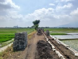 Dapat Bantuan Rp 450 Juta untuk Jalan Usaha Tani, Pemdes Balongmasin Ucapkan Terima Kasih kepada Gus Barra