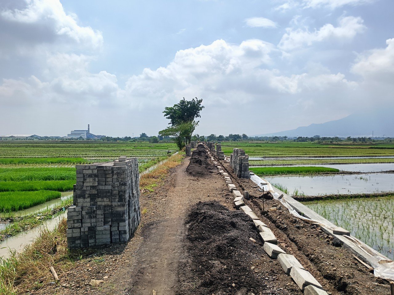 Dapat Bantuan Rp 450 Juta untuk Jalan Usaha Tani, Pemdes Balongmasin Ucapkan Terima Kasih kepada Gus Barra
