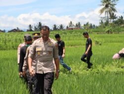 Susuri Pesawahan, Kapolres Tanggamus Pimpin Langsung Penyerahan Bansos di Talang Padang