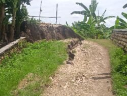 Kondisi Tanggul Penahan Jalan Di Dusun Krajan Desa Kanor-Bojonegoro,Diragukan Karena Tidak Ada Pancang Beton