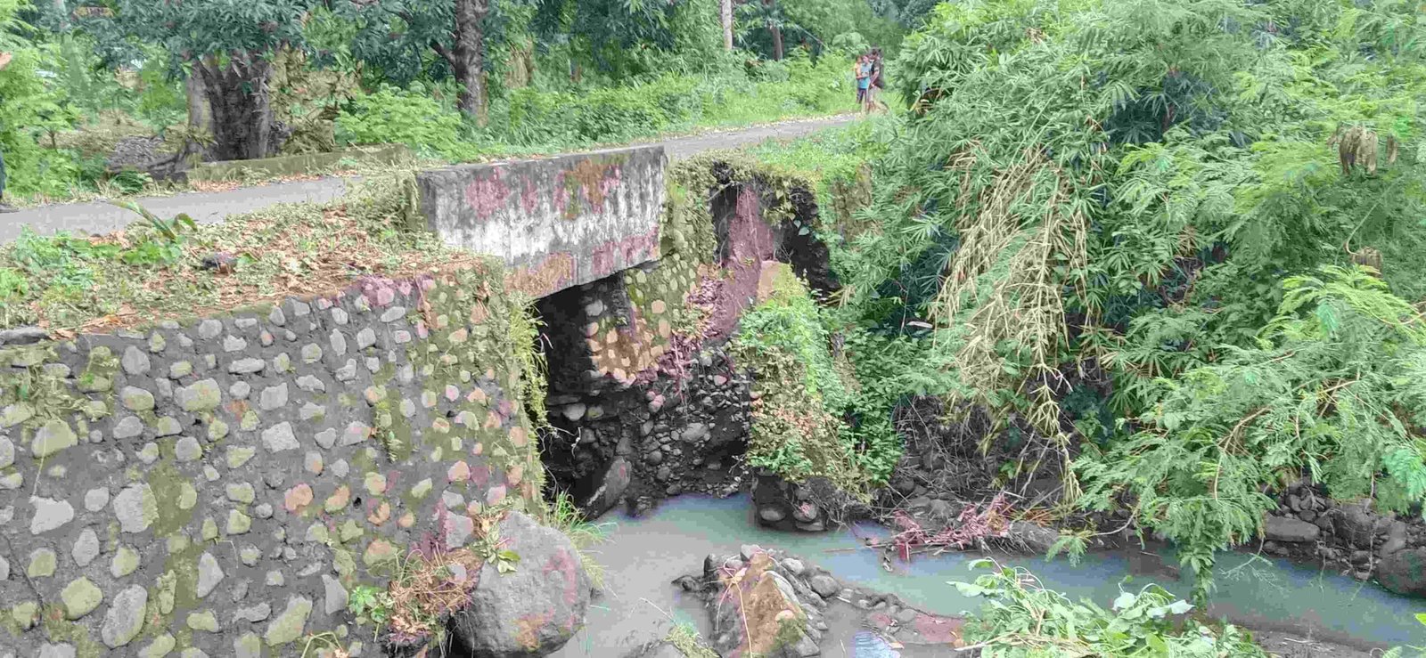 Jembatan Nyaris Putus, Pemkab Sikka Ambil Langkah Cepat 