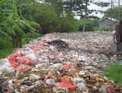 Memprihatinkan Kondisi TPST Di Desa Jimbaran Kulon,Tidak Terurus